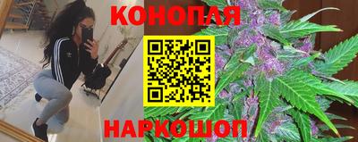 гидропоника Кулебаки