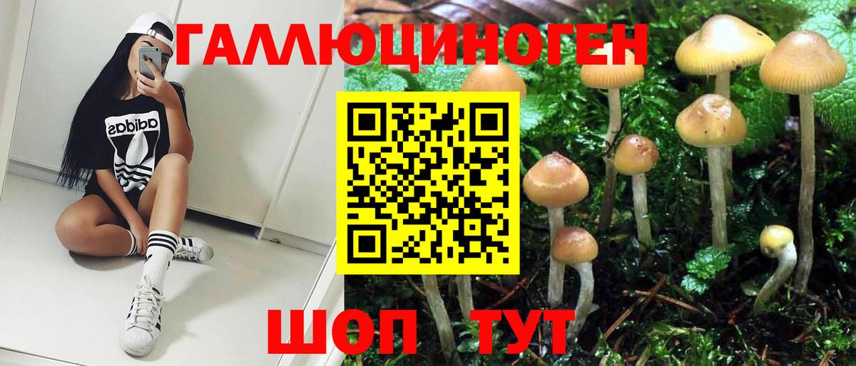 где купить наркоту  Псилоцибиновые грибы MAGIC MUSHROOMS  Галлюциногенные грибы Cubensis  Вход с VPN  Зима 
