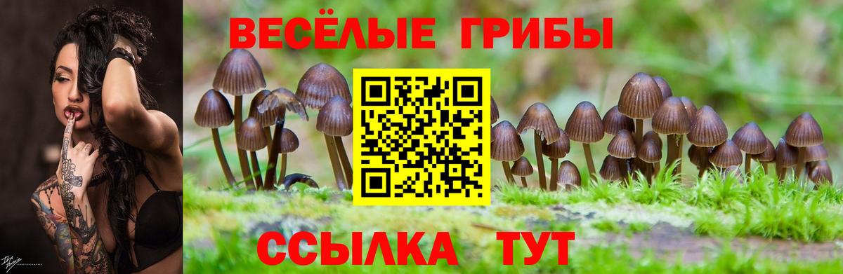 Псилоцибиновые грибы Magic Shrooms Зима